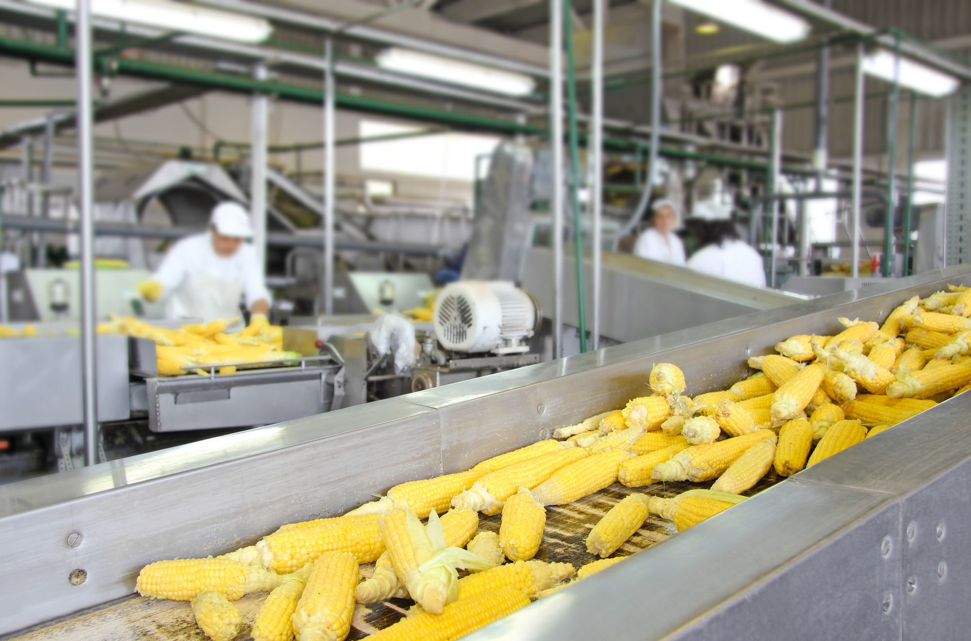 L'industrie agroalimentaire a gaspillé 375'000 tonnes de denrées en