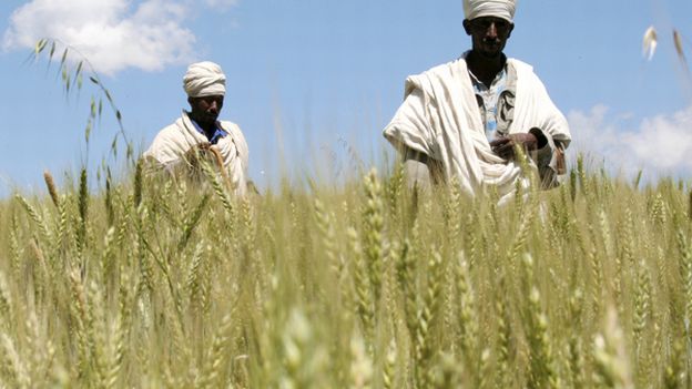 Geopolitis  Accaparement des terres agricoles peuton acheter un pays