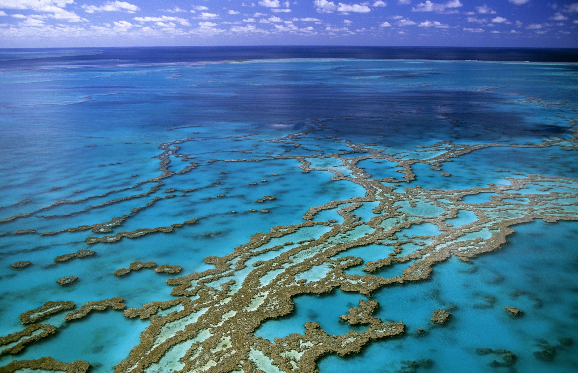 L'exploitation Minière Menace La Grande Barrière De Corail Australienne ...