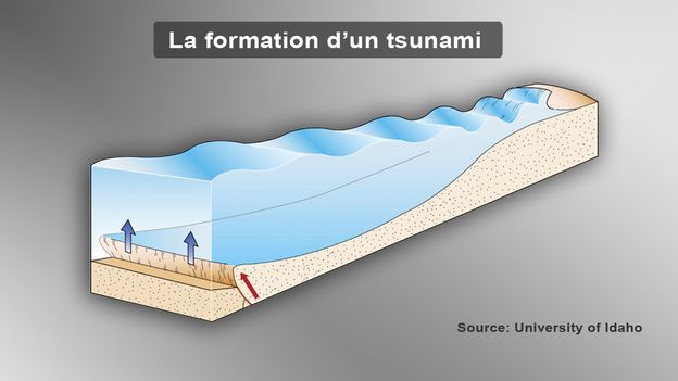 d formation in Explication tsunami. de   formation d'un   Info la rts.ch