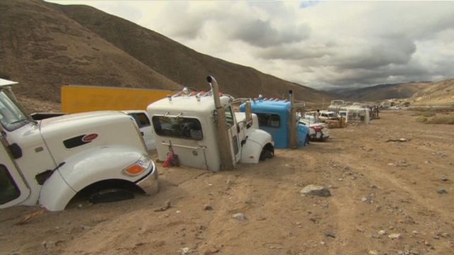 Quand le désert d'Atacama se recouvre de millions de fleurs