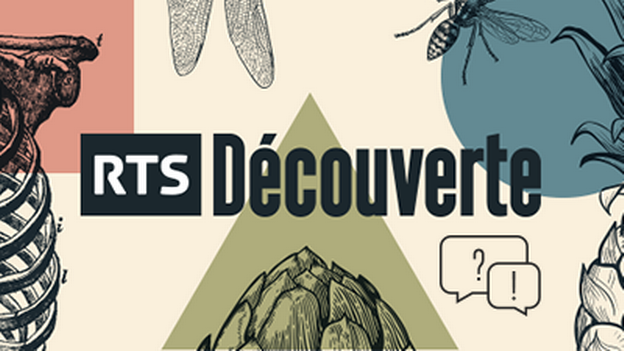 Rsultat de recherche d'images pour "rts decouverte"