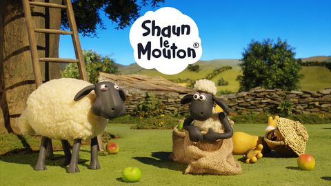 Shaun Le Mouton Saison 4 3 30 Joyeux Anniversaire Timmy Episode 3 30 Saison 4 Play Rtr