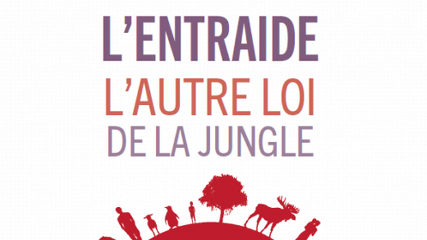 L Entraide L Autre Loi De La Jungle Radio Play Rts