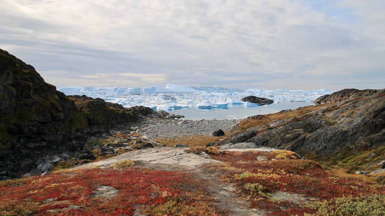 projet de biome arctique