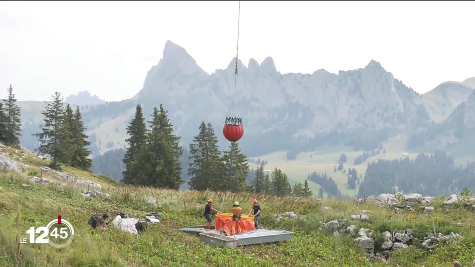 Asséchés par la canicule, les alpages du Pays-d’Enhaut (VD) sont ravitaillés en eau par hélicoptère [RTS]