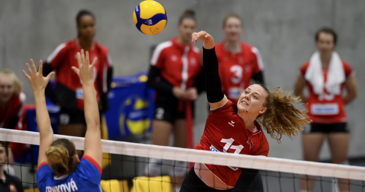 Volleyball: Swiss lose to Bosnia - rts.ch - Archyde