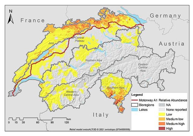 Répartition et abondance du sanglier en Suisse. [WSL]