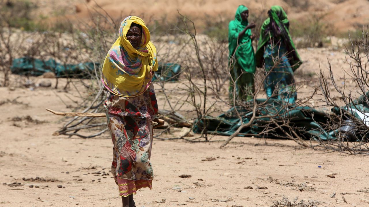 Des Affrontements On Fait Près De 100 Morts En Deux Semaines En Somalie