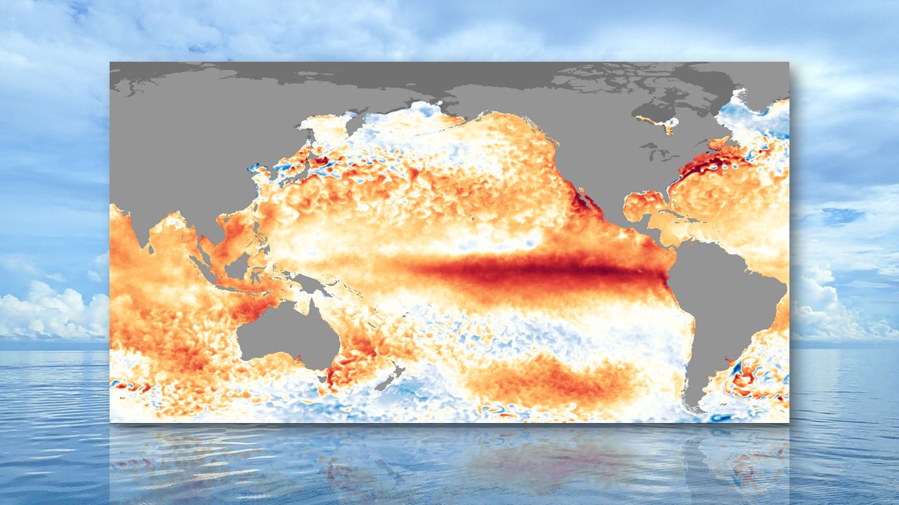 Anomalies de températures à la surface de l'océan pendant l'épisode El Niño de 2016. [Jean Ducame /Wikipedia - CPC/NOAA]