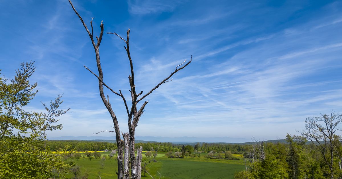 Les météorologues attaqués par les complotistes : insultes et menaces de désinformation sur le changement climatique