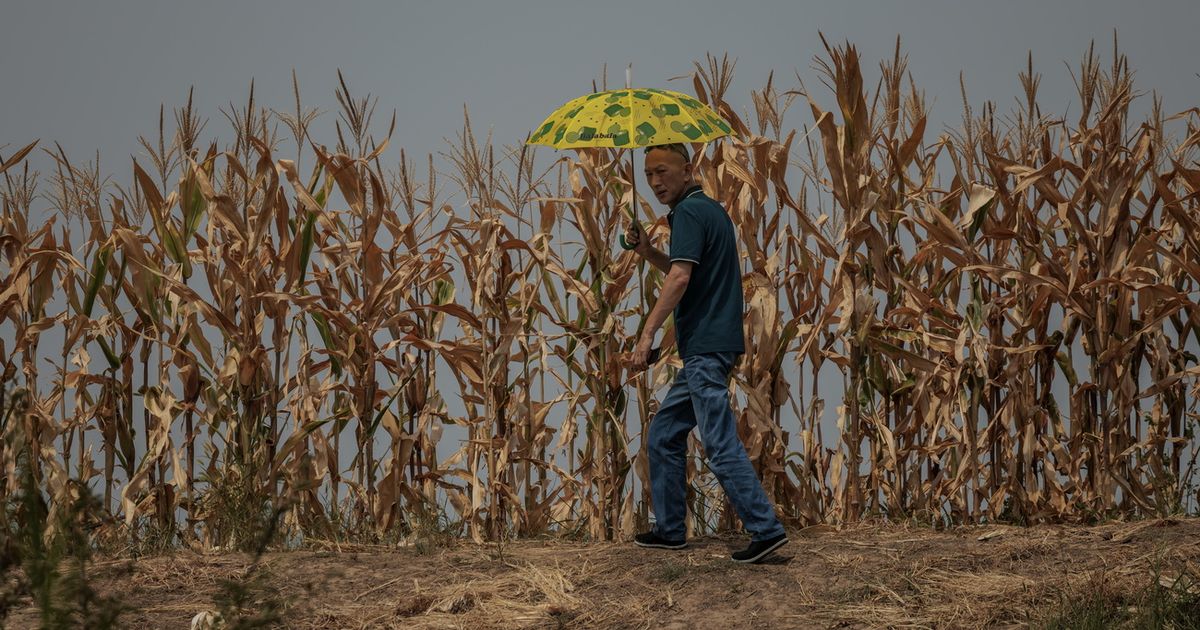 Le réchauffement climatique en Chine : Indifférence, conséquences et actions gouvernementales.