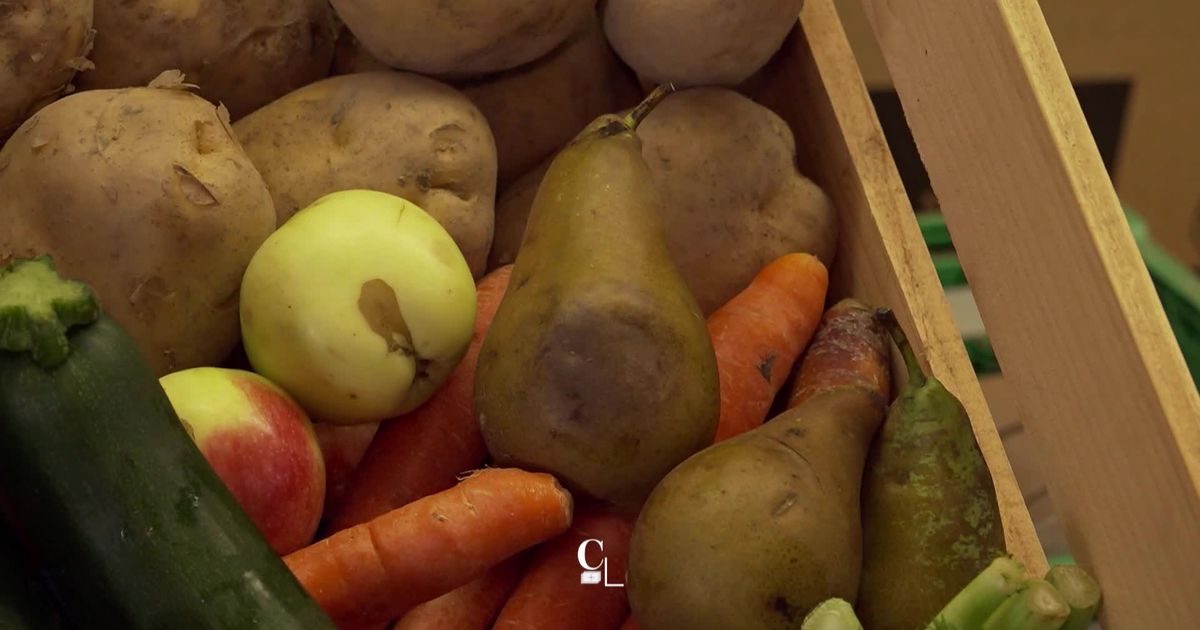 Des paniers de fruits et légumes “moches” pour lutter contre le gaspillage alimentaire