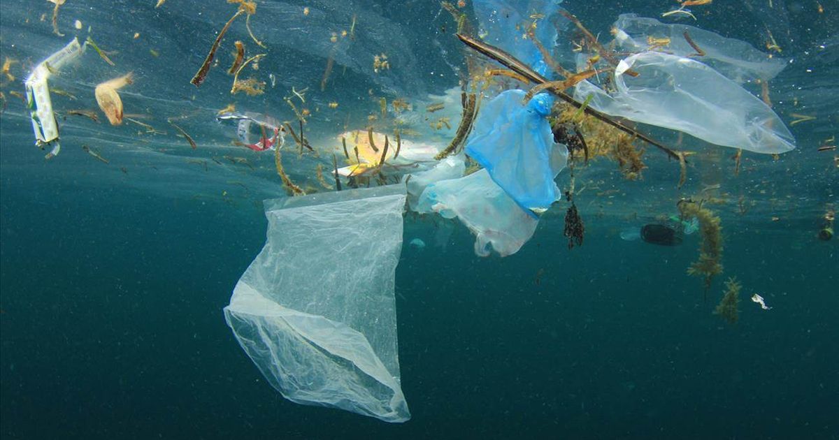 Un modèle d’intelligence artificielle pour détecter les déchets plastiques flottant en mer sur les images satellites